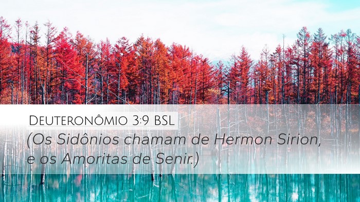 Deuteronômio 3:9 BSL Bible Verse Image
