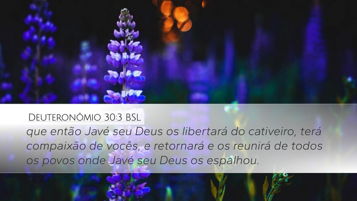 Deuteronômio 30:3 BSL Bible Verse Image