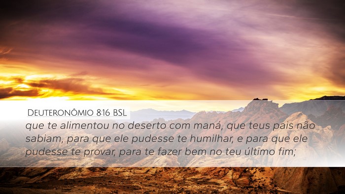 Deuteronômio 8:16 BSL Bible Verse Image