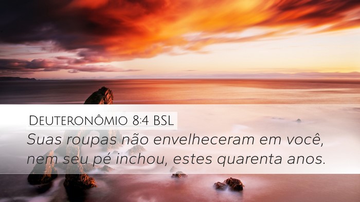 Deuteronômio 8:4 BSL Bible Verse Image