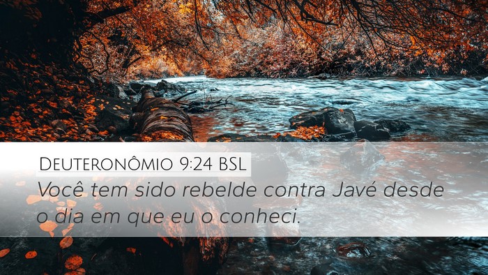 Deuteronômio 9:24 BSL Bible Verse Image