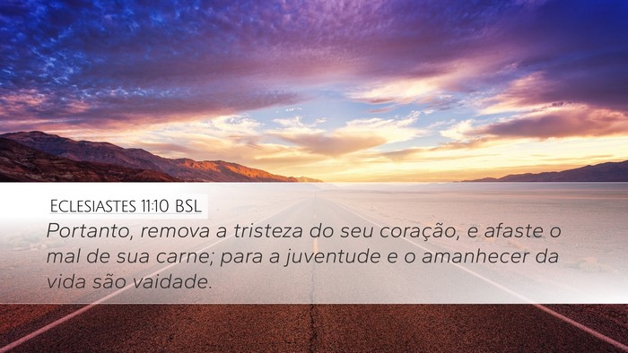 Eclesiastes 11:10 BSL Bible Verse Image