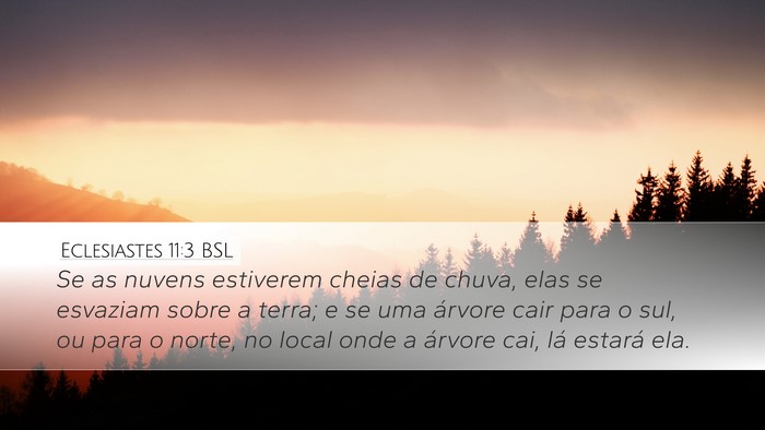 Eclesiastes 11:3 BSL Desktop Wallpaper - Se as nuvens estiverem cheias de chuva, elas se - Desktop Bible Verse Wallpaper