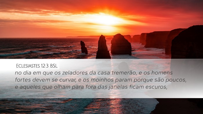 Eclesiastes 12:3 BSL Bible Verse Image