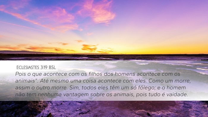 Eclesiastes 3:19 BSL Bible Verse Image
