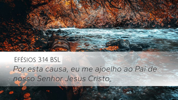 Efésios 3:14 BSL Bible Verse Image