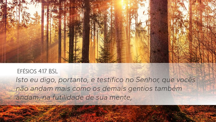 Efésios 4:17 BSL Bible Verse Image