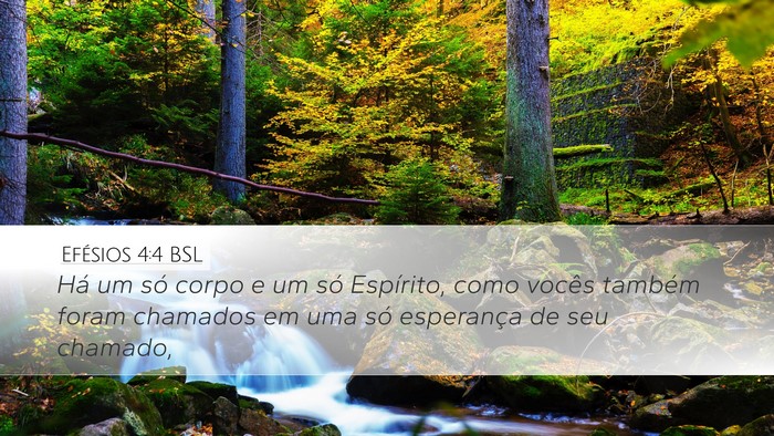 Efésios 4:4 BSL Bible Verse Image