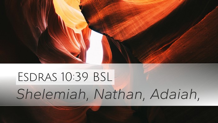 Esdras 10:39 BSL Desktop Wallpaper - Shelemiah, Nathan, - Desktop Bible Verse Wallpaper