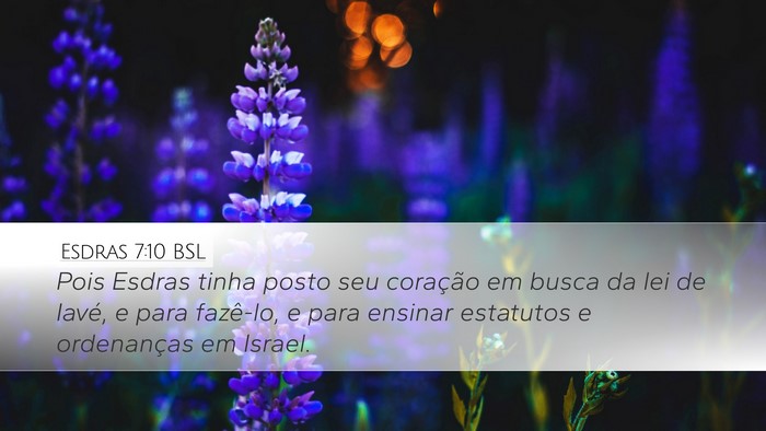 Esdras 7:10 BSL Desktop Wallpaper - Pois Esdras tinha posto seu coração em busca da - Desktop Bible Verse Wallpaper