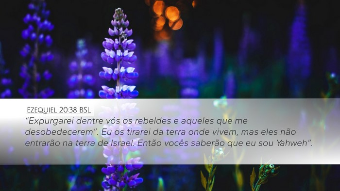 Ezequiel 20:38 BSL Bible Verse Image