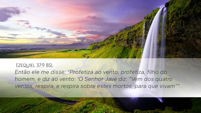 Ezequiel 37:9 BSL Bible Verse Image