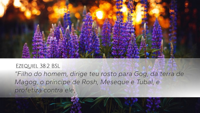 Ezequiel 38:2 BSL Bible Verse Image