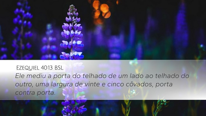 Ezequiel 40:13 BSL Desktop Wallpaper - Ele mediu a porta do telhado de um lado ao - Desktop Bible Verse Wallpaper