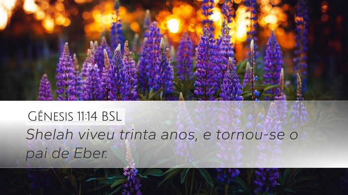 Gênesis 11:14 BSL Desktop Wallpaper - Shelah viveu trinta anos, e tornou-se o pai de - Desktop Bible Verse Wallpaper