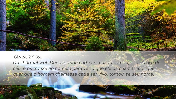 Gênesis 2:19 BSL Bible Verse Image