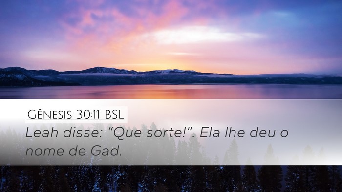 Gênesis 30:11 BSL Desktop Wallpaper - Leah disse: “Que sorte!”. Ela lhe deu o nome - Desktop Bible Verse Wallpaper