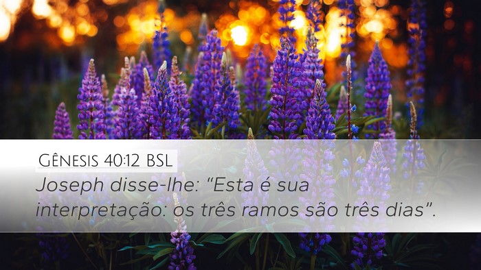 Gênesis 40:12 BSL Bible Verse Image