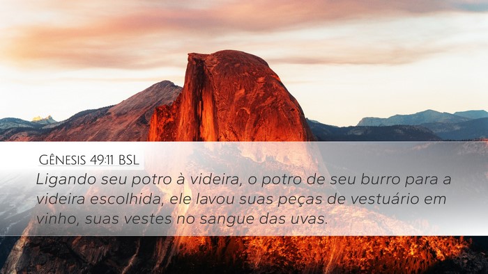 Gênesis 49:11 BSL Bible Verse Image