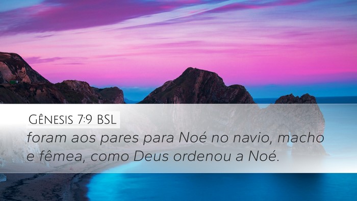 Gênesis 7:9 BSL Desktop Wallpaper - foram aos pares para Noé no navio, macho e - Desktop Bible Verse Wallpaper