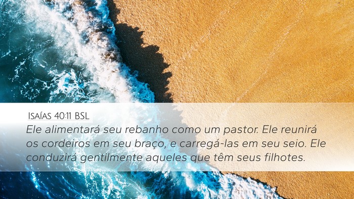 Isaías 40:11 BSL Bible Verse Image