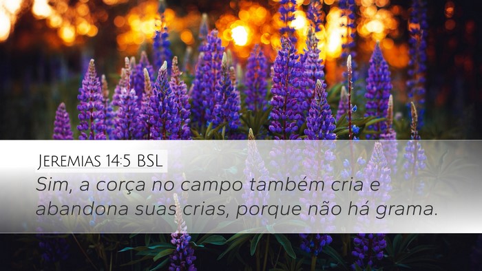 Jeremias 14:5 BSL Desktop Wallpaper - Sim, a corça no campo também cria e abandona - Desktop Bible Verse Wallpaper