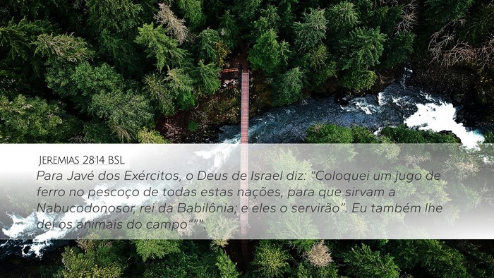 Jeremias 28:14 BSL Bible Verse Image