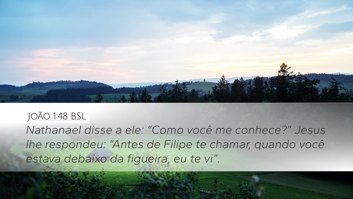 João 1:48 BSL Desktop Wallpaper - Nathanael disse a ele: “Como você me - Desktop Bible Verse Wallpaper