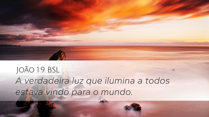 João 1:9 BSL Bible Verse Image