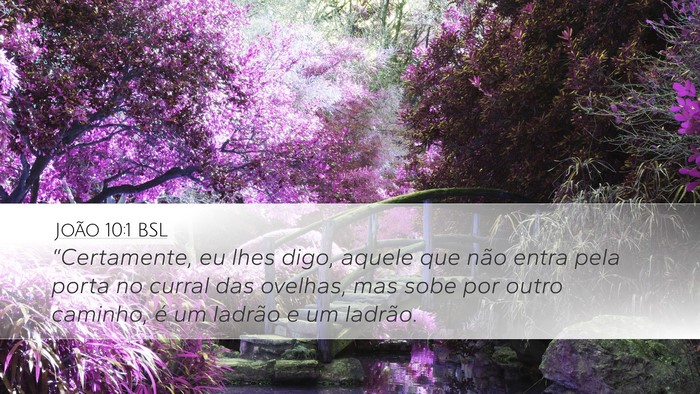 João 10:1 BSL Bible Verse Image