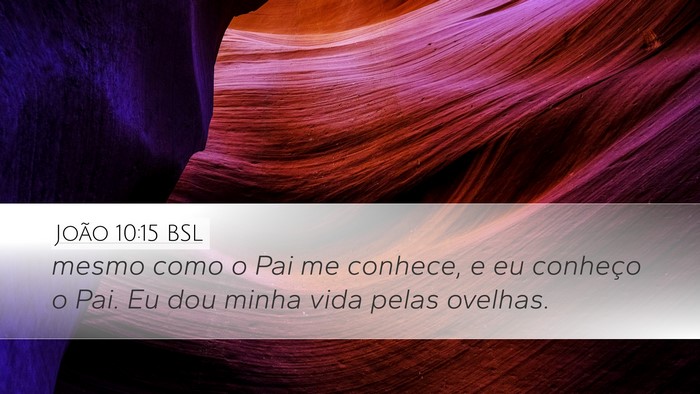 João 10:15 BSL Bible Verse Image