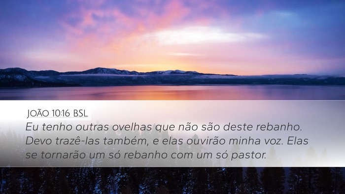 João 10:16 BSL Bible Verse Image