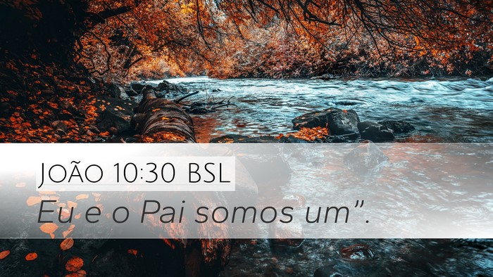 João 10:30 BSL Bible Verse Image