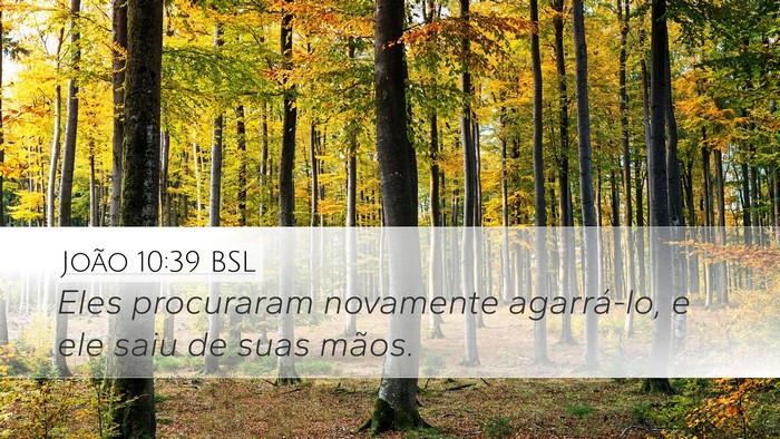João 10:39 BSL Bible Verse Image
