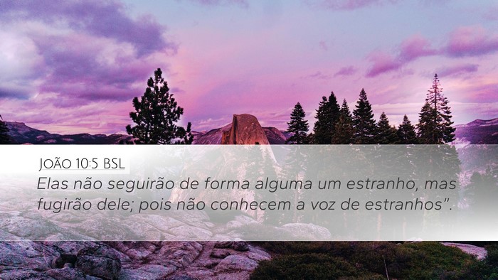 João 10:5 BSL Bible Verse Image