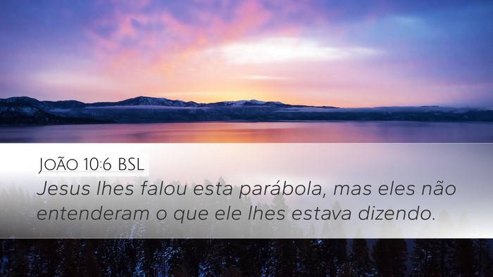 João 10:6 BSL Bible Verse Image