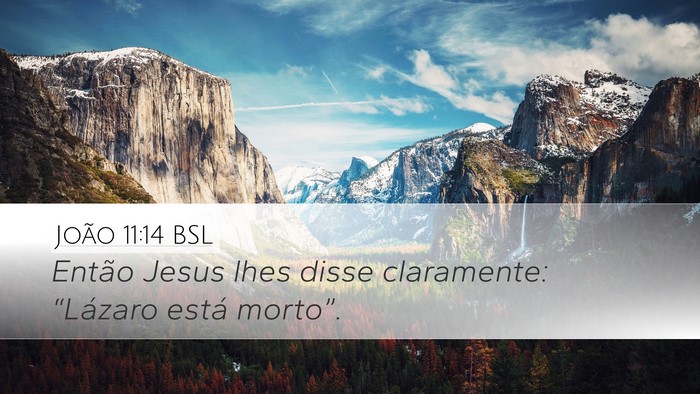 João 11:14 BSL Bible Verse Image