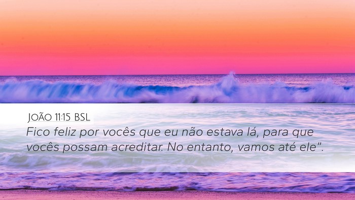 João 11:15 BSL Bible Verse Image