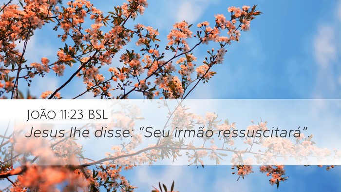 João 11:23 BSL Bible Verse Image