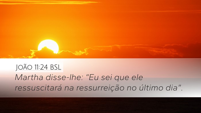 João 11:24 BSL Bible Verse Image