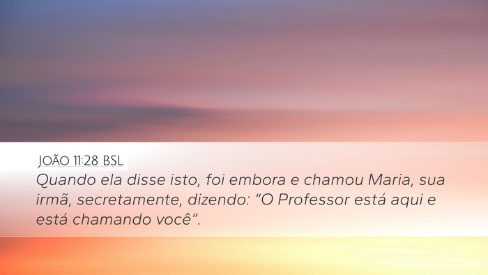 João 11:28 BSL Bible Verse Image