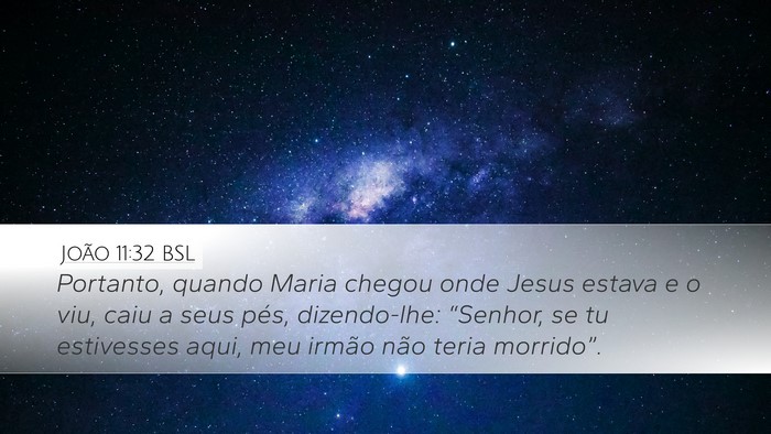 João 11:32 BSL Bible Verse Image