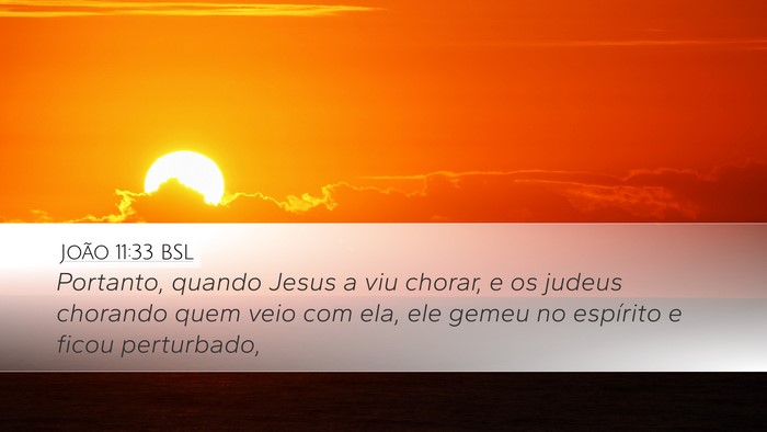 João 11:33 BSL Bible Verse Image