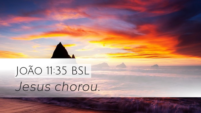 João 11:35 BSL Bible Verse Image
