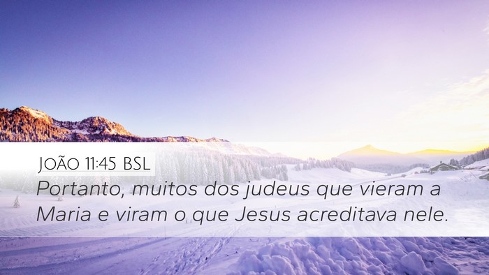João 11:45 BSL Bible Verse Image