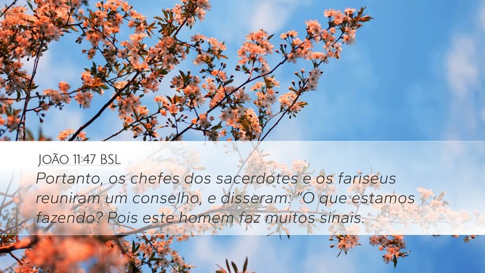 João 11:47 BSL Bible Verse Image
