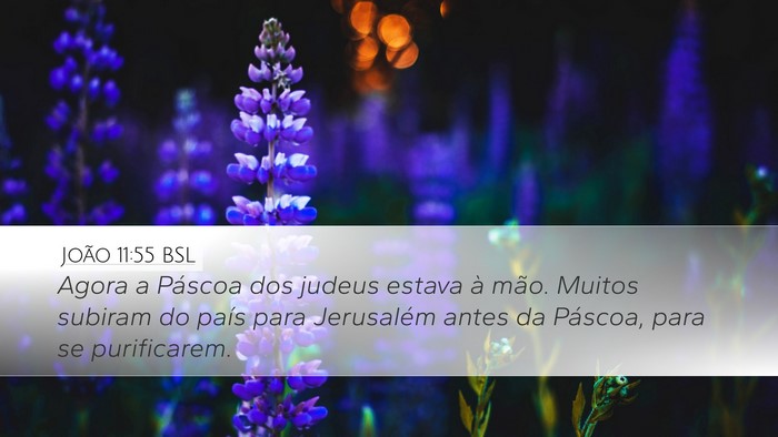 João 11:55 BSL Bible Verse Image