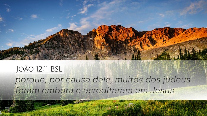 João 12:11 BSL Bible Verse Image