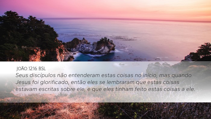 João 12:16 BSL Bible Verse Image