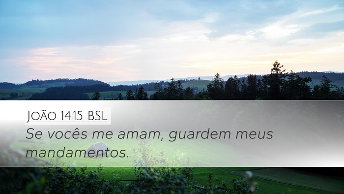 João 14:15 BSL Bible Verse Image